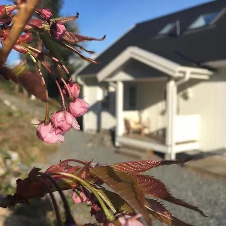 別荘 Hus I ストリン